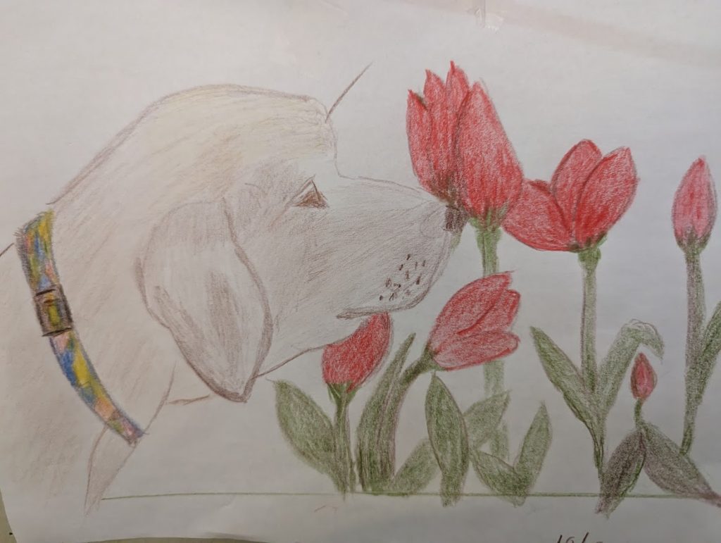 The 94YearOld New Sketch Artist At Cape Regency Cape Regency